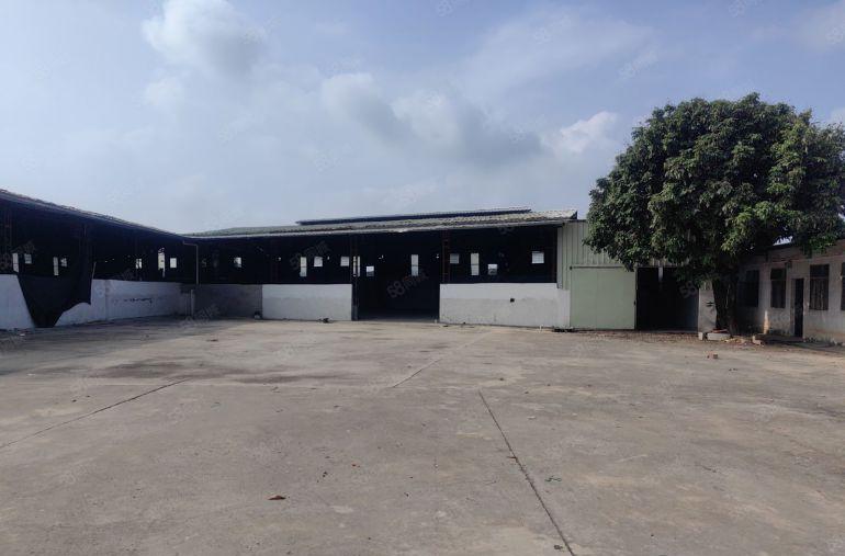 钢结构单一层 双龙大道边独门独院厂房出租