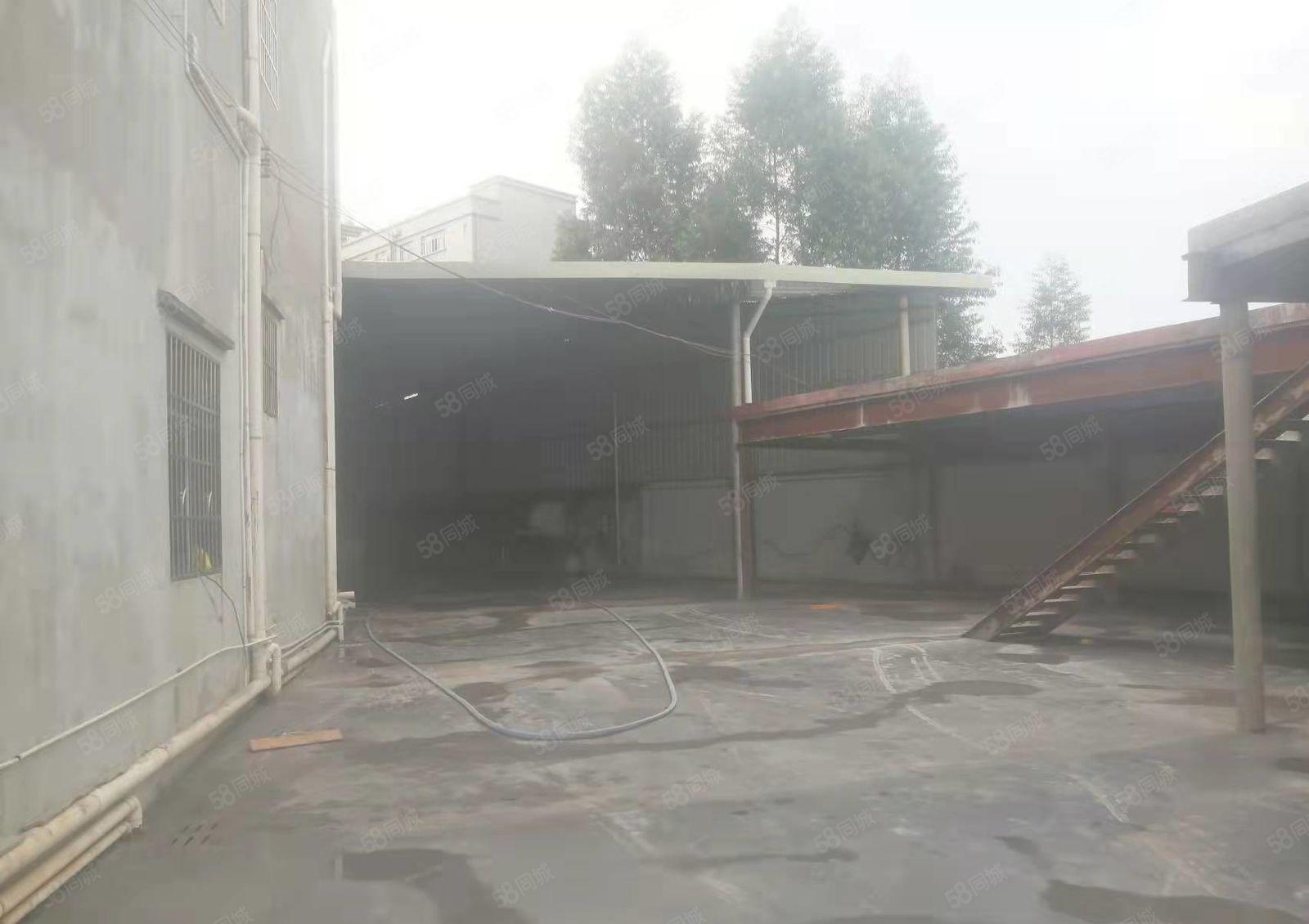 园洲镇新出钢结构厂房700宿舍300租金14电按需交通方便