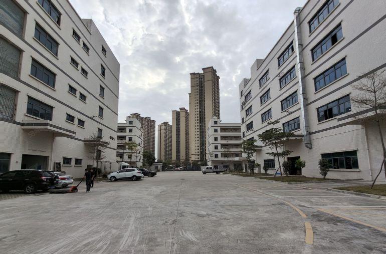 园洲原房东独栋8000平方全新红本厂房仓库出租 可分租