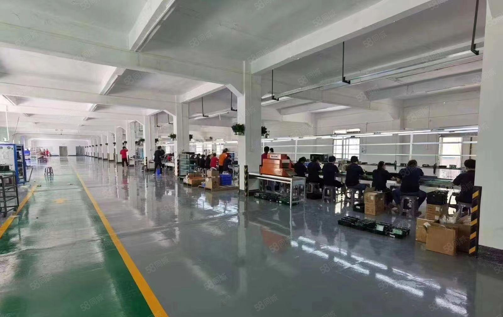 福田村委厂房！标准一楼2800方（拎包入住）可做小污染行业