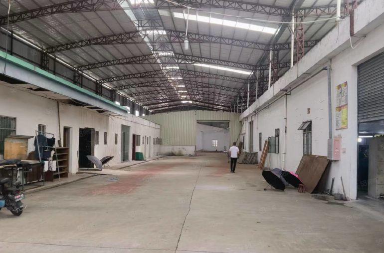 园洲镇厂房出租原房东滴水9米单一层厂房