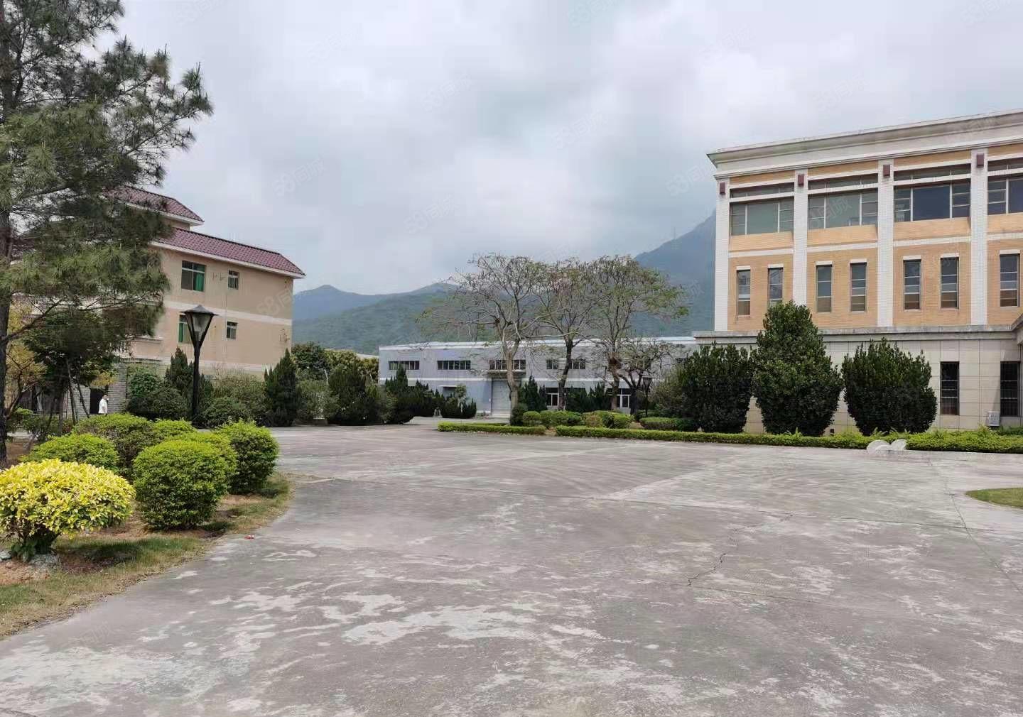 可分租博罗石湾里波水12000独门独院钢构厂房仓库出租大空地