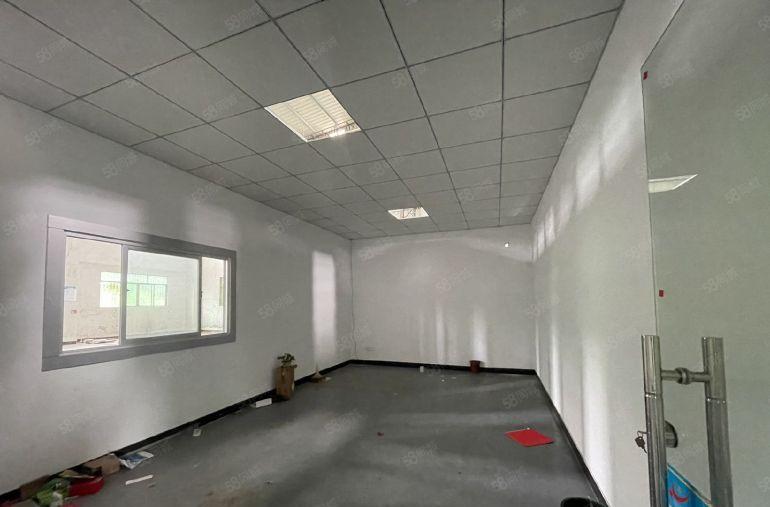 园洲镇新出独门独院单一层厂房