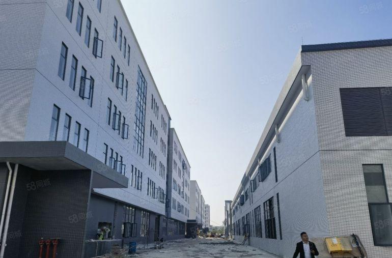 园洲全新红本标准钢构12万平方厂房出租