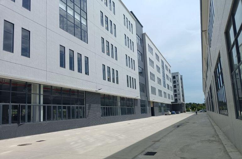 500平起租园洲镇全新红本厂房12万方可分租丙类喷淋卸货平台