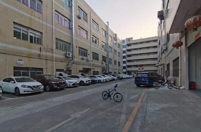 无基本电费园洲镇2600平精致小独院厂房出租滴水7米电到车间