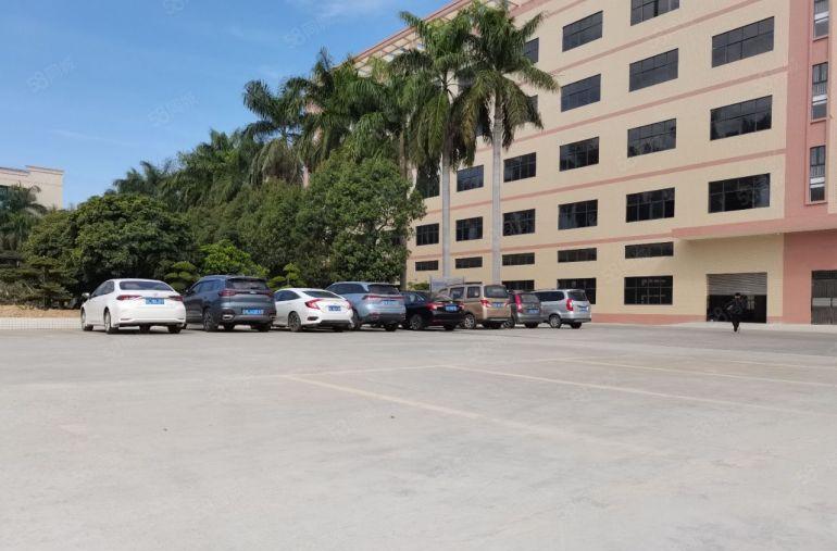 石湾镇全新标准园区厂房出租该园区地段好容易招工空地大