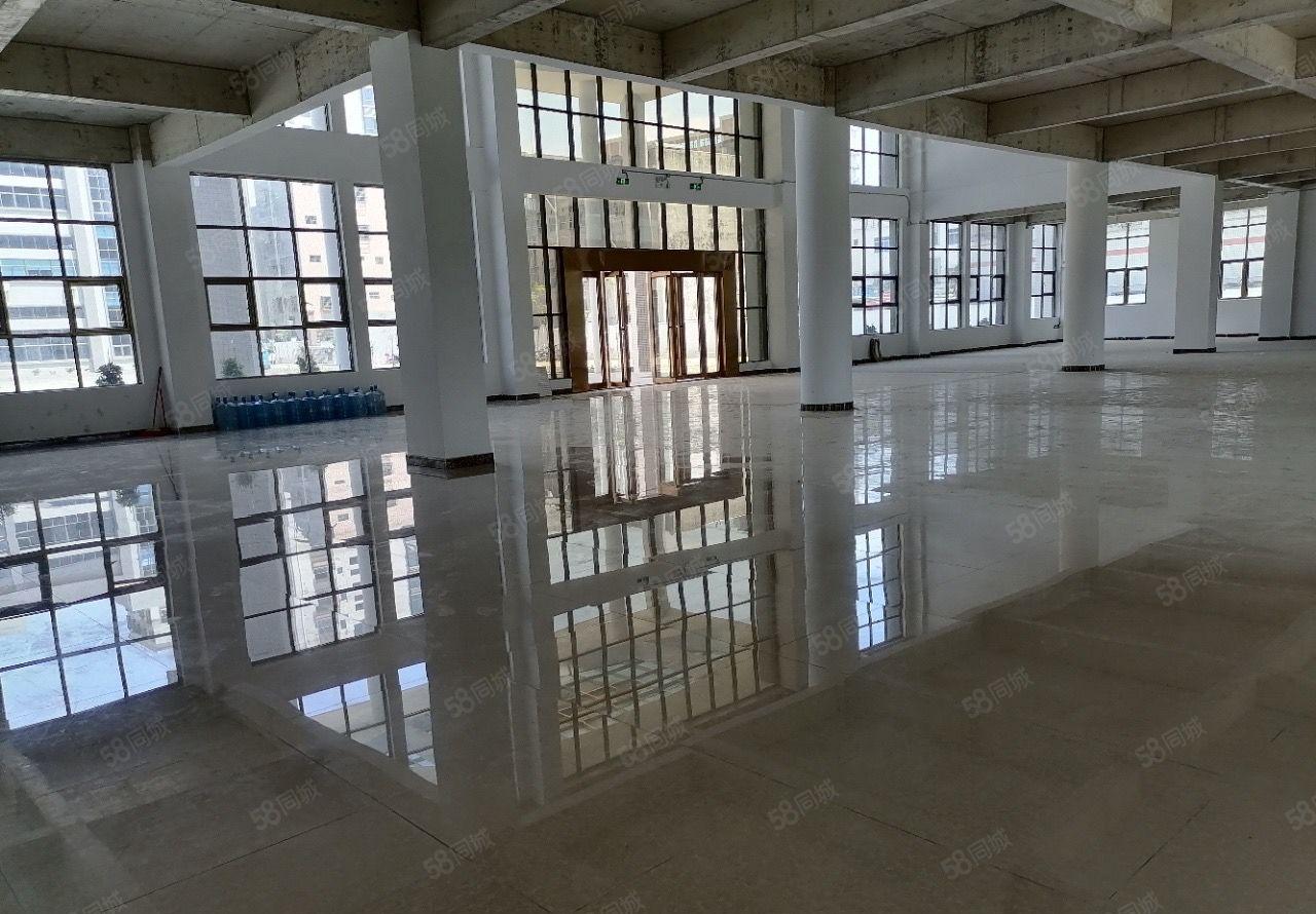 不停电园区！罗阳镇四角楼全新标准厂房42500出租