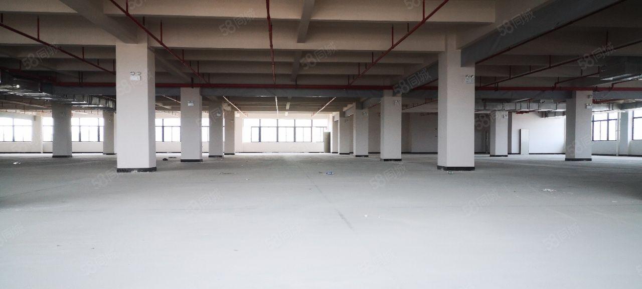 原房东一手工业园重型厂房招租39800平方，1140平方起分