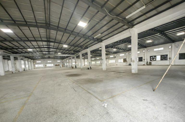 罗阳镇3000平钢构厂房出租，博罗大道边，可分租，原房东厂房