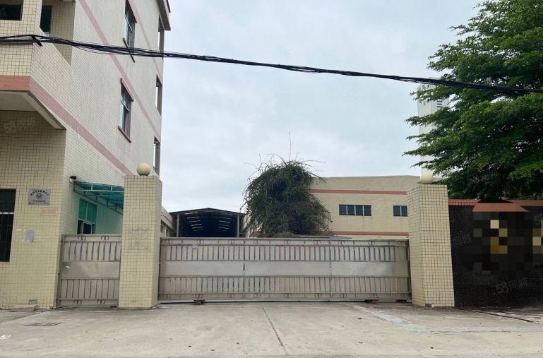 石湾镇砖墙到顶单一层厂房出租空地5000平方价格便宜