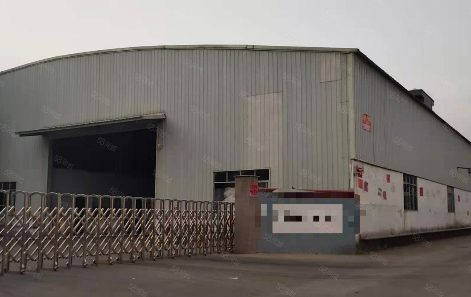 园洲镇村委新出独院钢构単一层厂房电可对公不赚一分钱差价