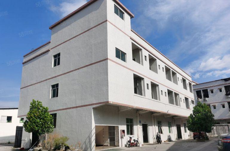 工业区砖墙到顶单一层独院原涂布厂滴水9米中间无柱子