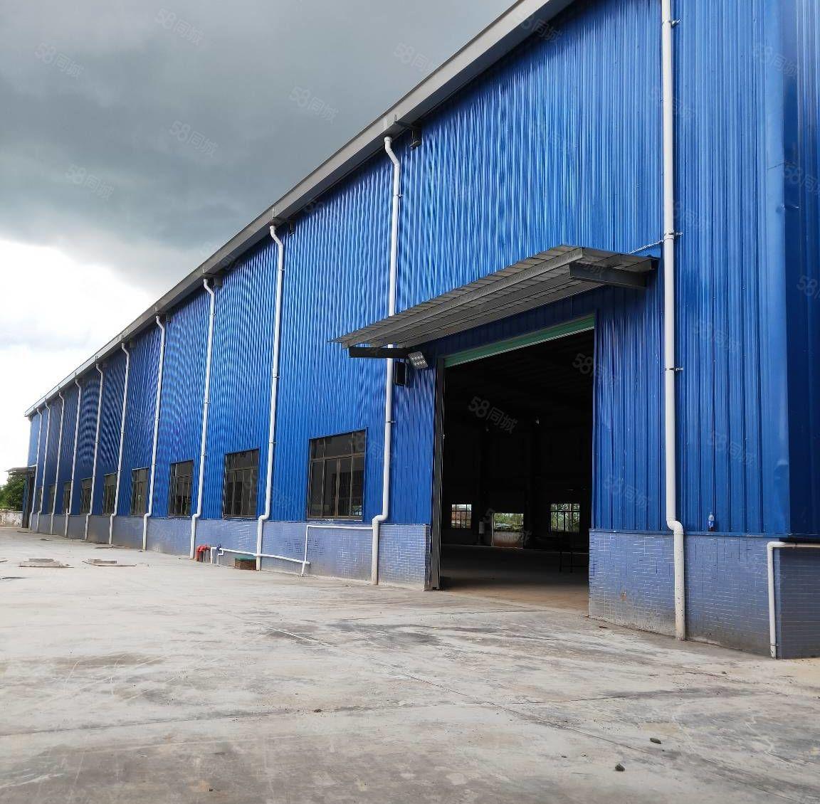 博罗县全新10米高钢结构4300平方招租