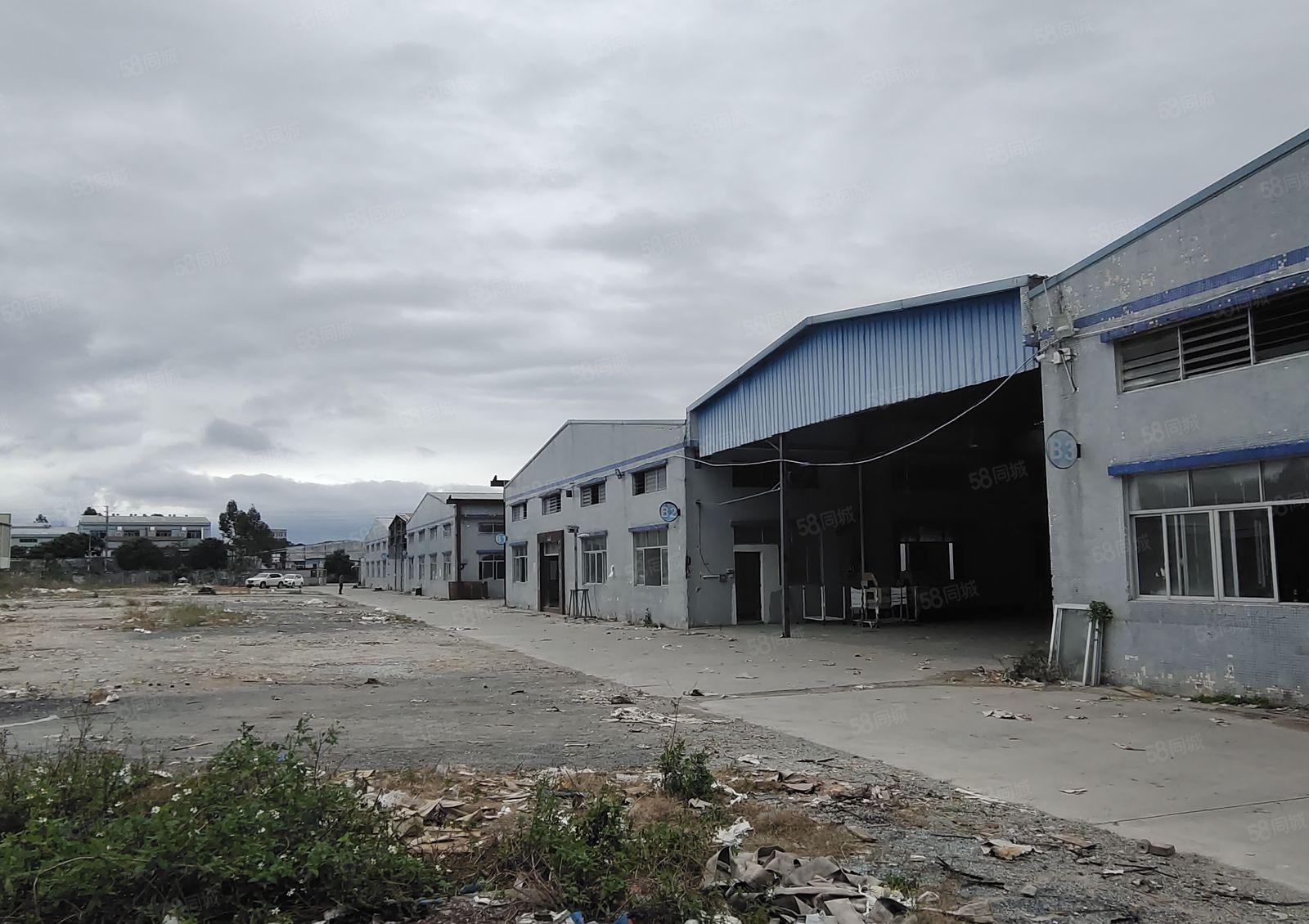 园洲镇低价性价比超高工业园区独院500平方起分空地超大