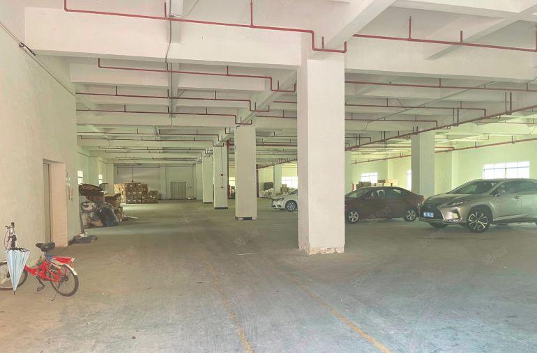 （原房东独院）园洲9块每平独院厂房