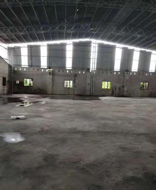 龙溪新出单一层独院厂房1300平方出租