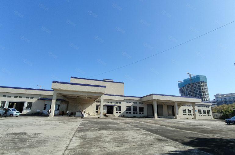 博罗园洲原房东独门独院单一层厂房5000平低价出租300平起