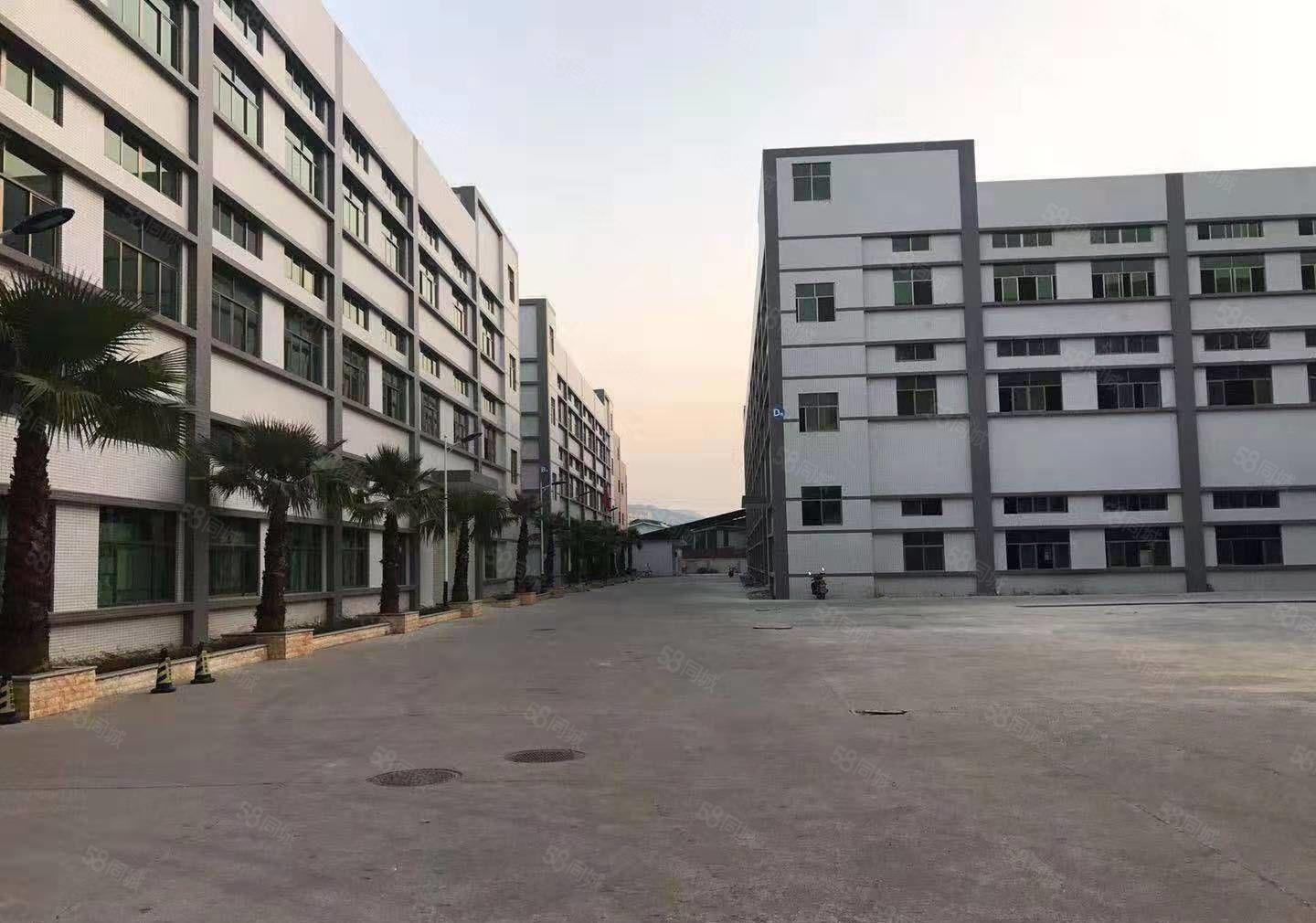 博罗大道边原房东标准厂房c栋4楼2200出租仅租10元