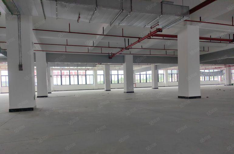 龙溪电镀基地边全新厂房 四面采光 前后租遮挡 门前有大空地