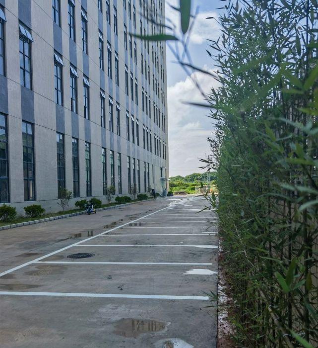 博罗园洲离高速路口一公里标准厂房出租原房东
