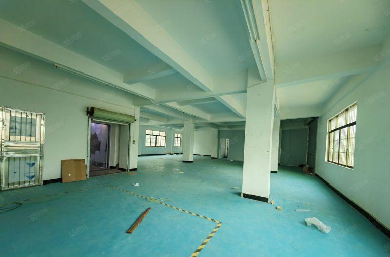 园洲新出标准1080平厂房，原房东好说话