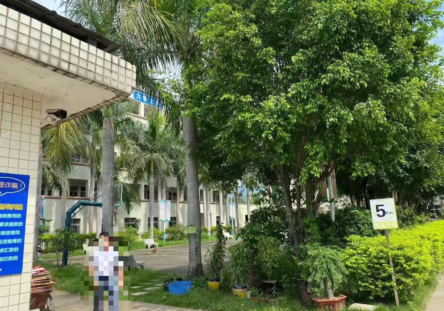 博罗标准厂房仓库独门独院出租带红本双证