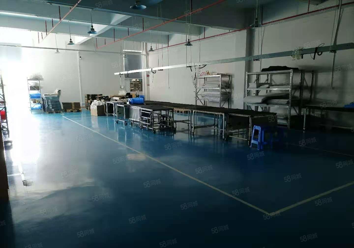 博罗园洲田头工业区精装修楼上红本厂房出租大货梯无公摊原房东