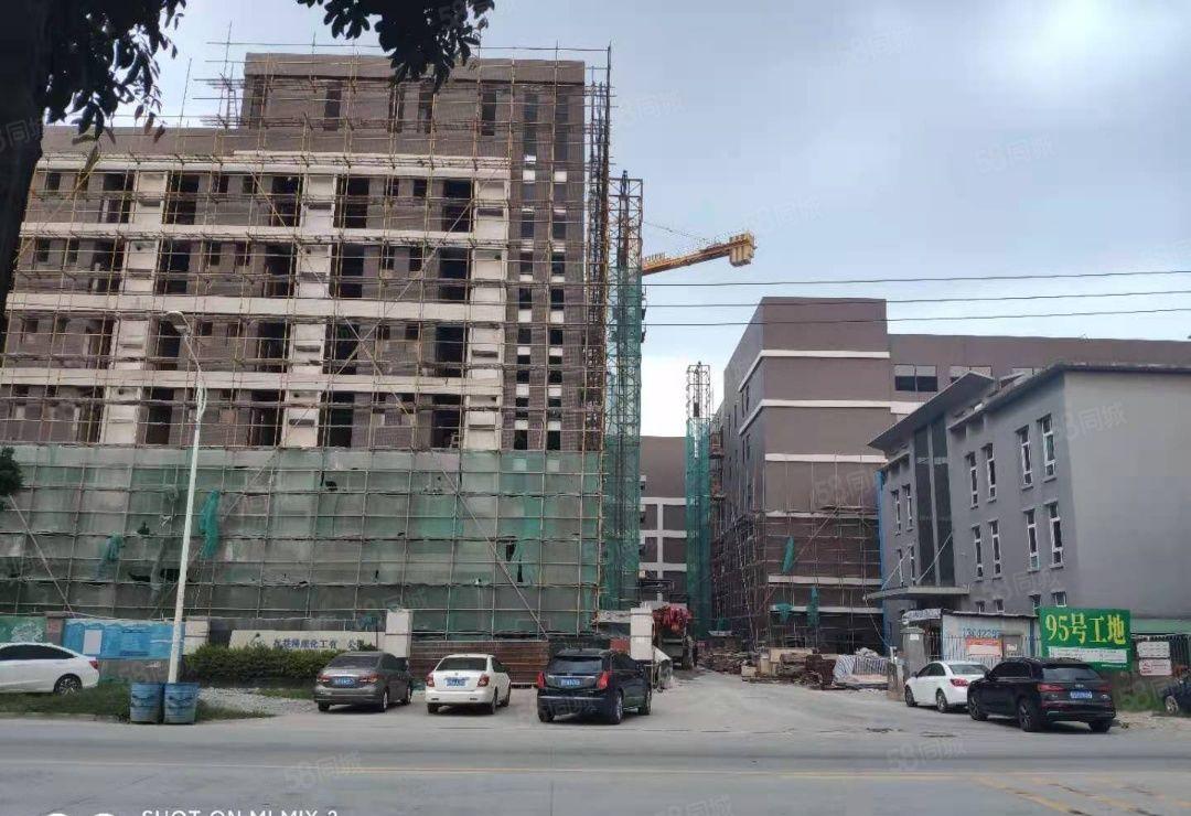 石湾镇科技园独院标准厂房30200平方，500平方起分租