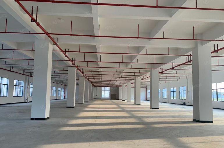 龙溪镇原房东现成钢化膜招租，超声波清洗环评以及排水处理系统