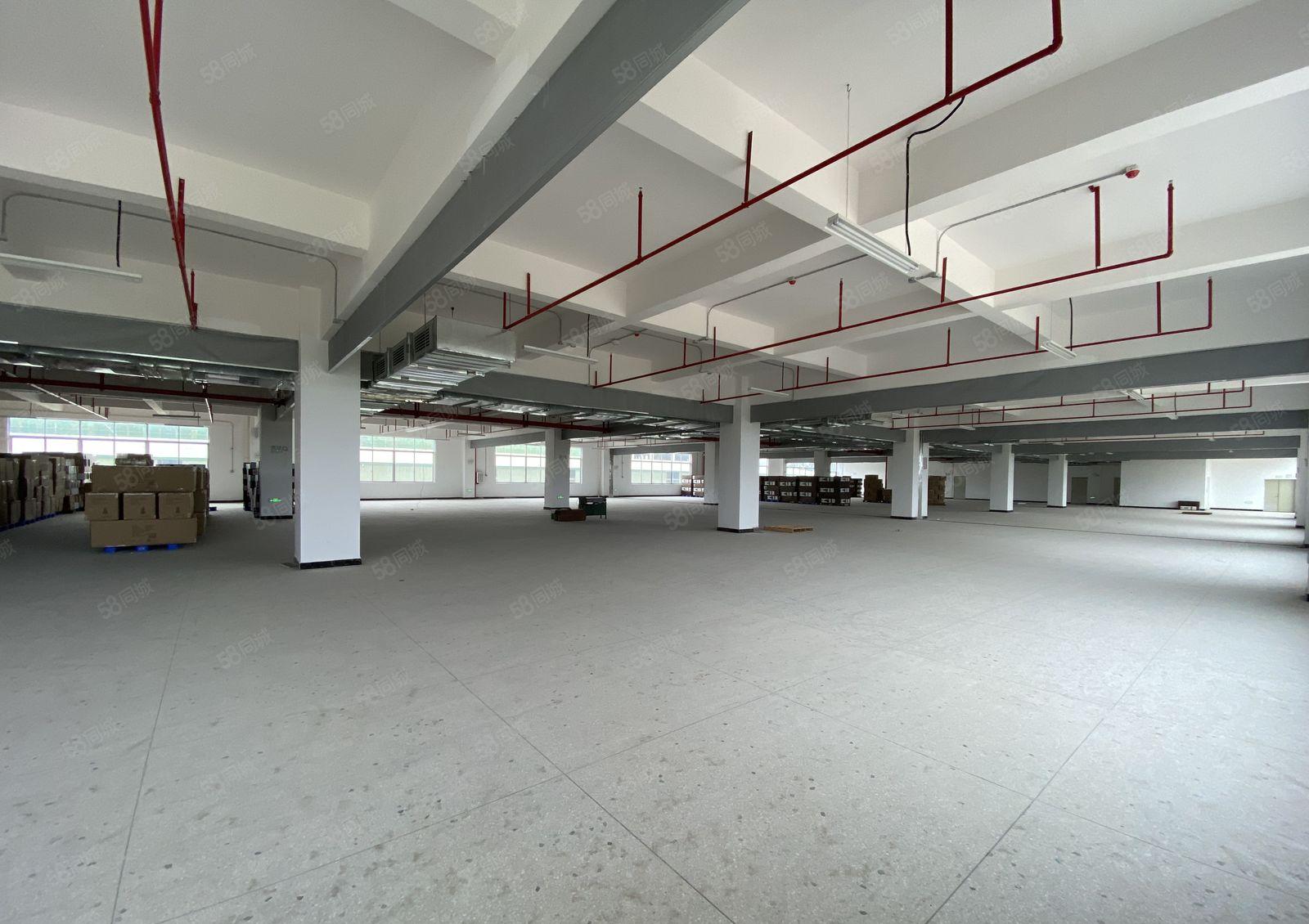 独院标准厂房低价出租，带红本可办环评空地大