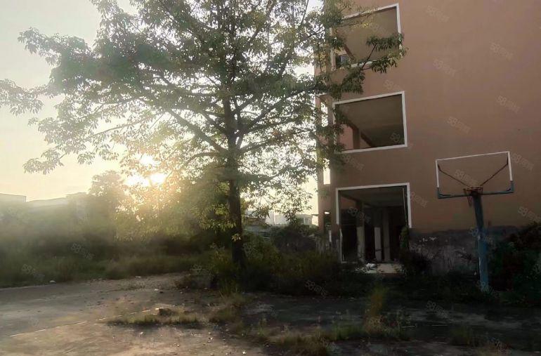 石湾厂房3500方空地超大独门独院环境优美培训机构的天堂