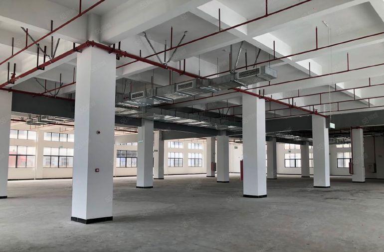 惠州石湾镇原房东独院厂房12500平出租带红本实量面积12块