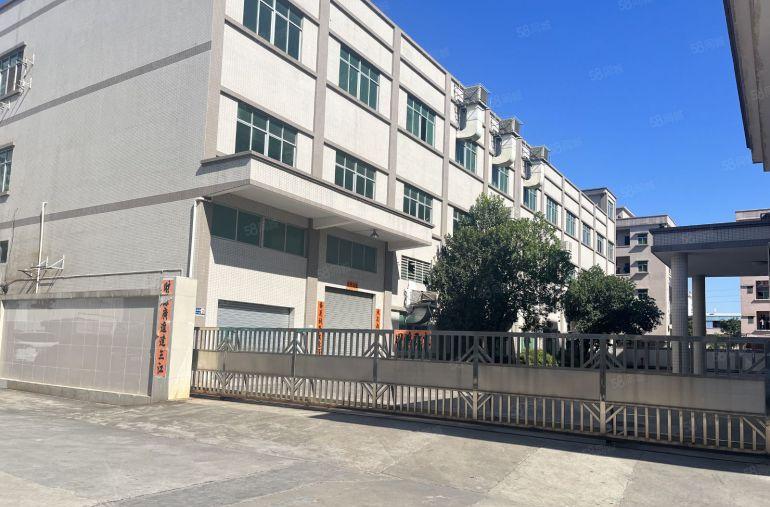 园洲原房东厂房出租独院，适合五金电子研发科技加工等行业空地大