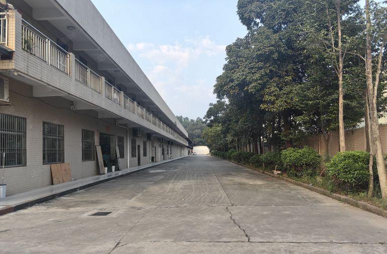 12块！博罗园洲单一层钢构2800平原房东厂房仓库出租可分租