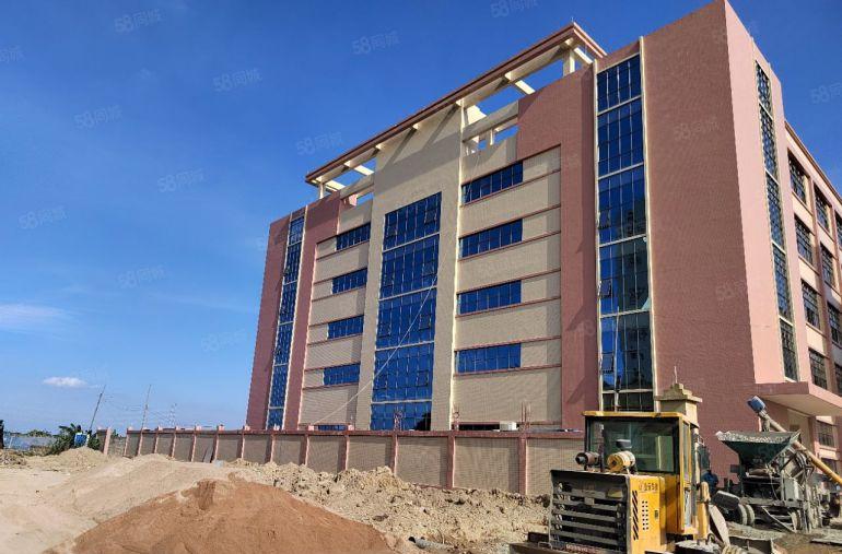 表面处理红本园区52000平 1000平起分 可排水