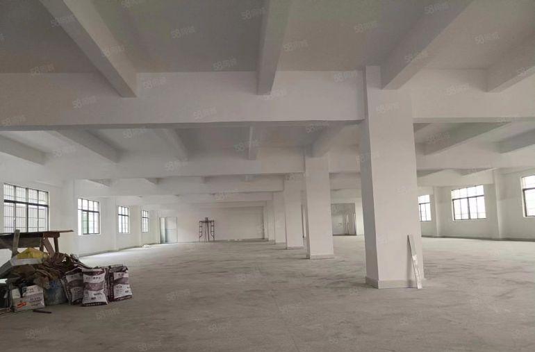 园洲镇原房东独全新标准厂房出租4900平