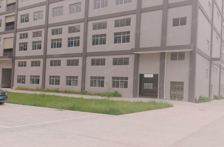 园洲洗水排水漂染印刷印染厂房出租10000平方，大小可以分租