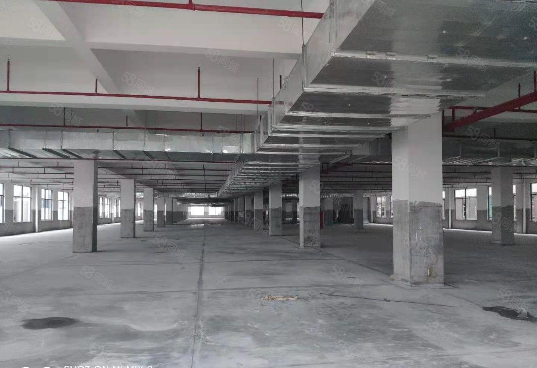 石湾镇科技园独院标准厂房30200平方，500平方起分租