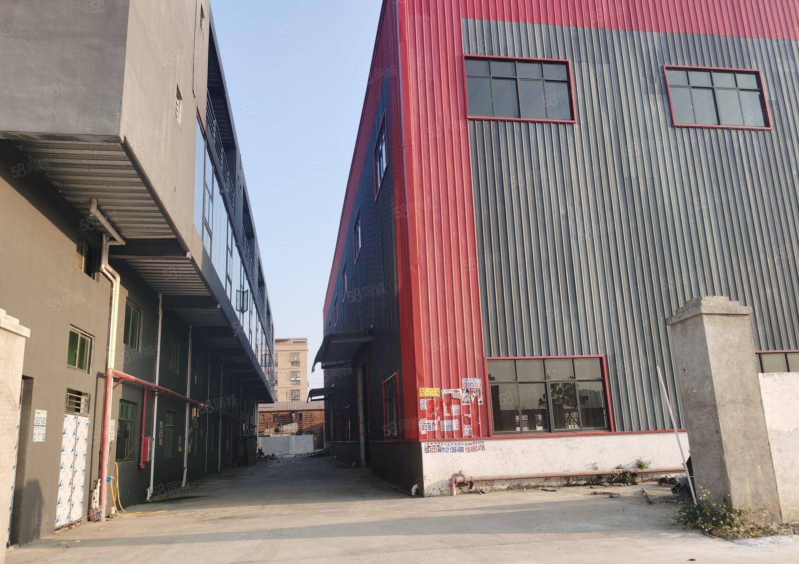 独院单一层13米滴水钢构厂房出租