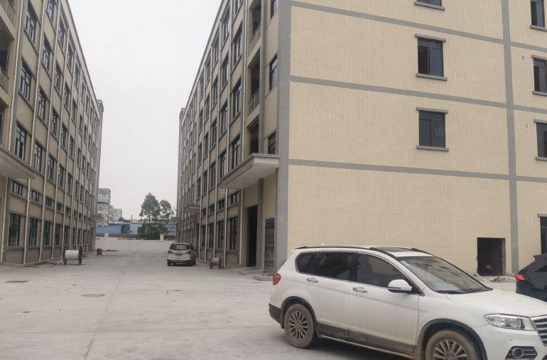 园洲全新独院标准厂房，空地超大