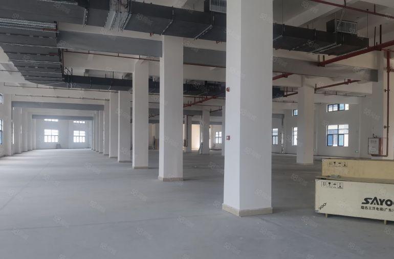 园洲全新独院标准厂房，空地超大