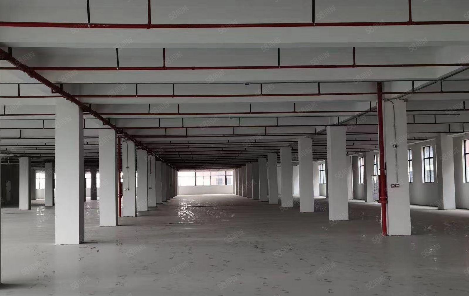 龙华镇大道边标准厂房独院出租6000平方一栋证件齐全