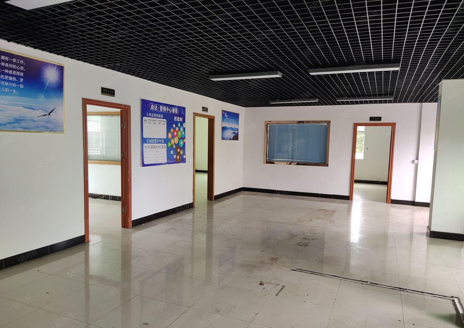 园洲镇红本双证独院厂房出租4900方，可分租，豪华装修办公室