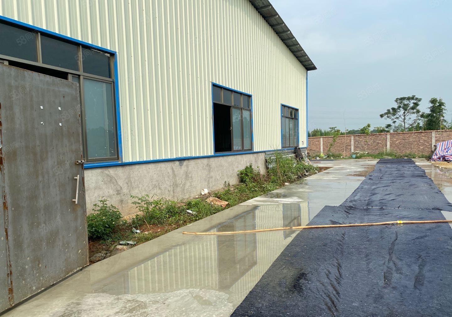 龙华镇形象好单一层配电大独院1000平方宿舍300平方