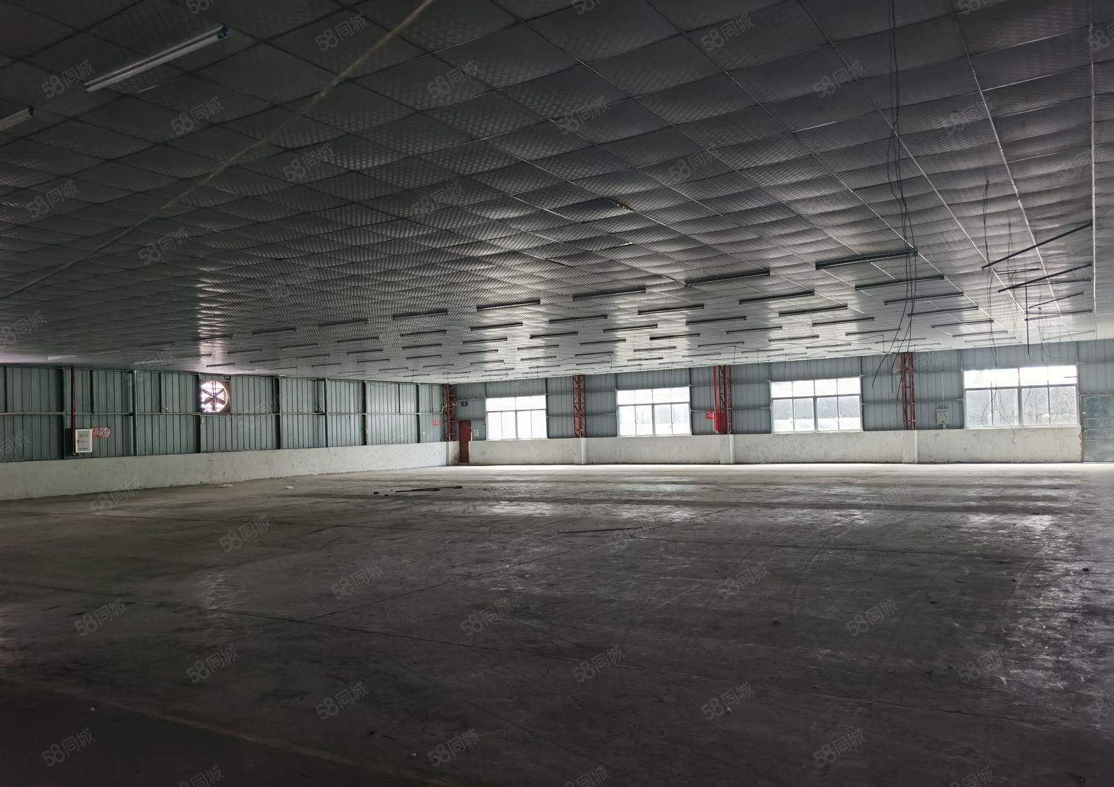 原房东独门独院钢构厂房出租4650平方