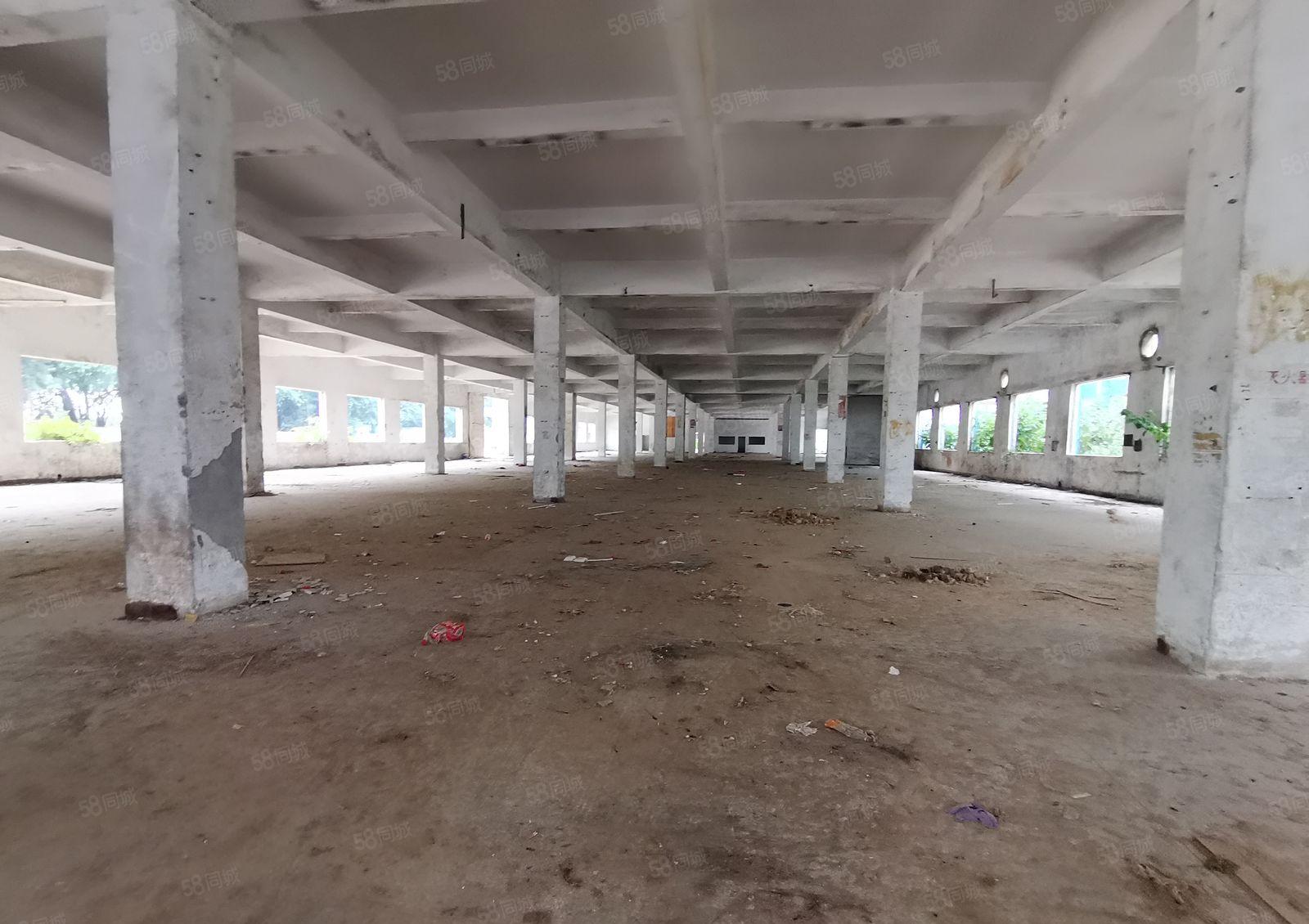 2百平起分租博罗义和西区工业区3千平独栋仓库厂房出租可办环评