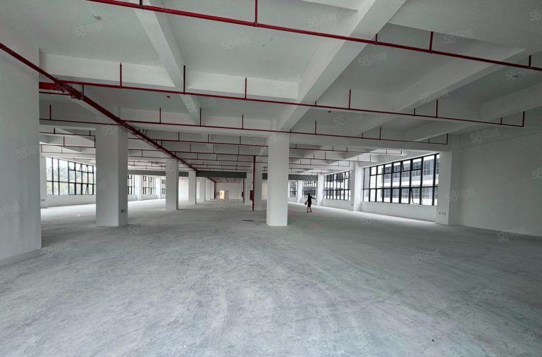 博罗罗阳8元厂房出租500起租5吨大货梯