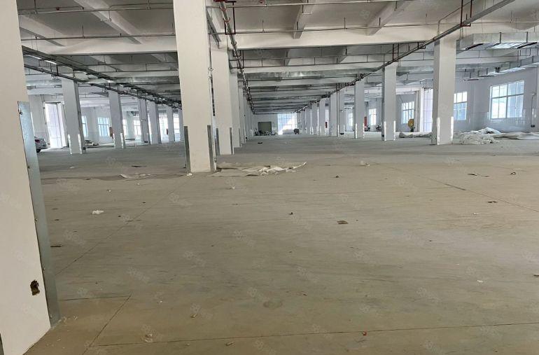 独院厂房45800平形象好招工方便价格实惠