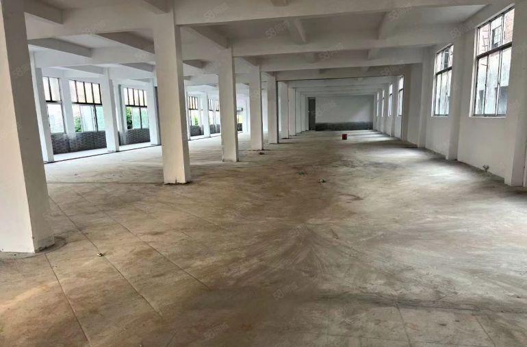 园洲低价全新单一层厂房 可分租 可办环评 超大空地